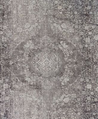 Feizy Sarrant 3967f Rug Collection In Gray