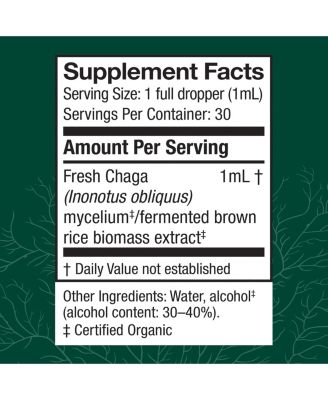 Chaga Extract - Immune System Support Supplement - Chaga Mushroom for Antioxidant Activity Support - Liquid Dietary Mushroom Supplement