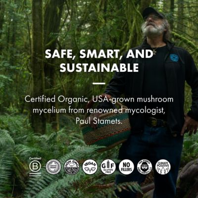 MycoBrew Matcha - Matcha Drink Mix - Matcha Green Tea Powder that Includes Lion's Mushroom - Drink Mix with Organic Matcha Tea - 10 Packets (10 Servings)