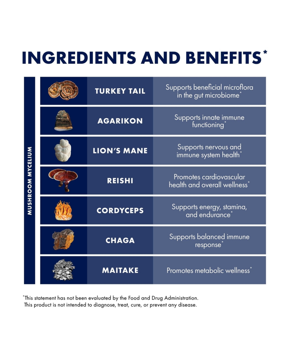 Host Defense MyCommunity Powder - 17 Species Blend Mushroom Supplement for Immune Support - Extract with Lion's Mane, Reishi, Chaga, Cordyceps, Turkey