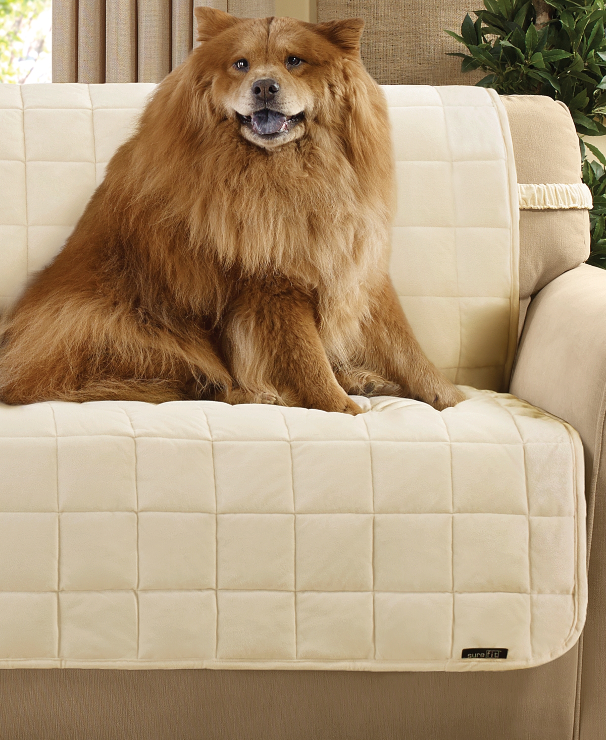 Sure Fit Velvet Deluxe Pet Armless Sofa Slipcover with Sanitize Odor Release - Ivory