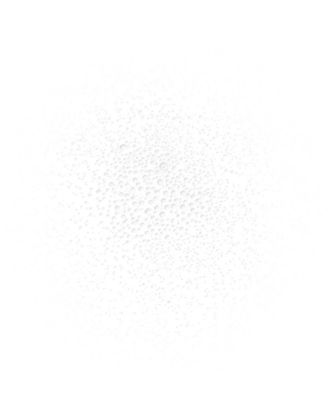 Brume de Beauté Beauty Mist