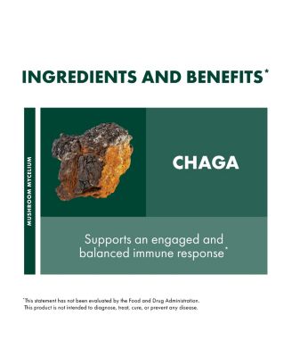 Chaga Capsules - Immune System Support Supplement - Chaga Mushroom Capsules for Antioxidant Activity Support - Dietary Mushroom Supplement