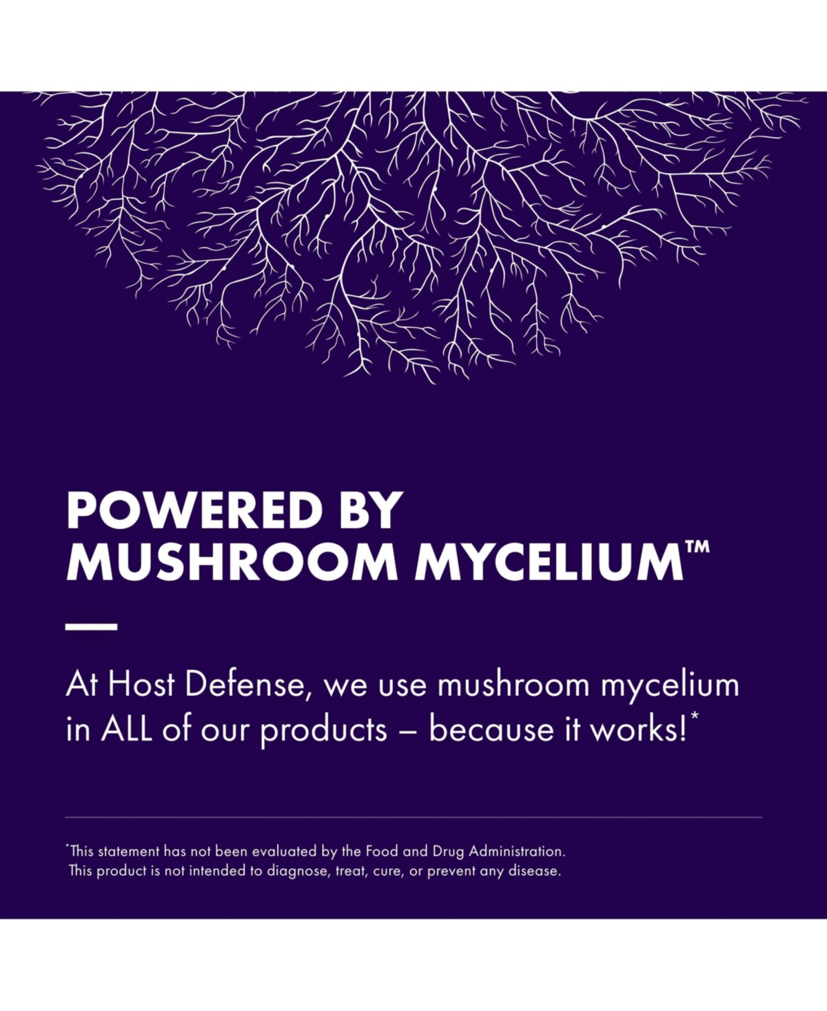 Host Defense Lion's Mane Powder - Brain Health Support Supplement - Mushroom Supplement to Support Focus & Memory Function - Immune & Nervous System S