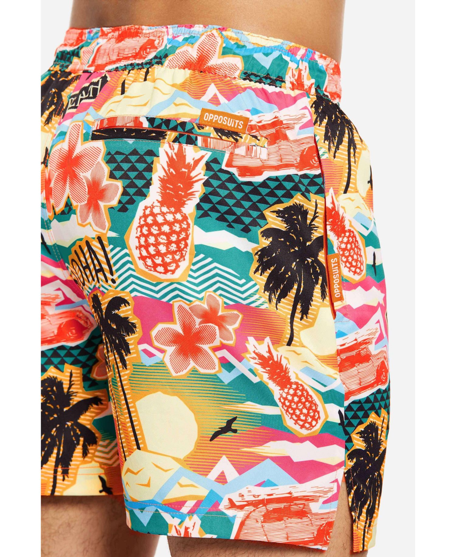 Men's Swim Shorts
