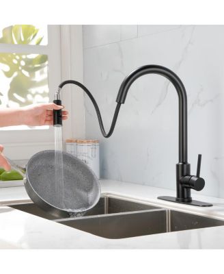 Single Handle High Arc Pull-Out Kitchen Faucet Stainless Steel Sink Faucet with Pull-Down Sprayer