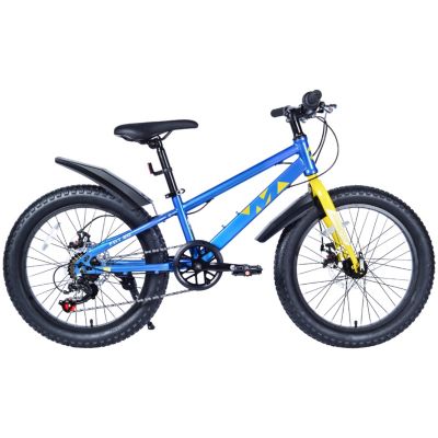 Streamdale Kids' Fat Tire Mountain Bike with Dual-Disc Brakes