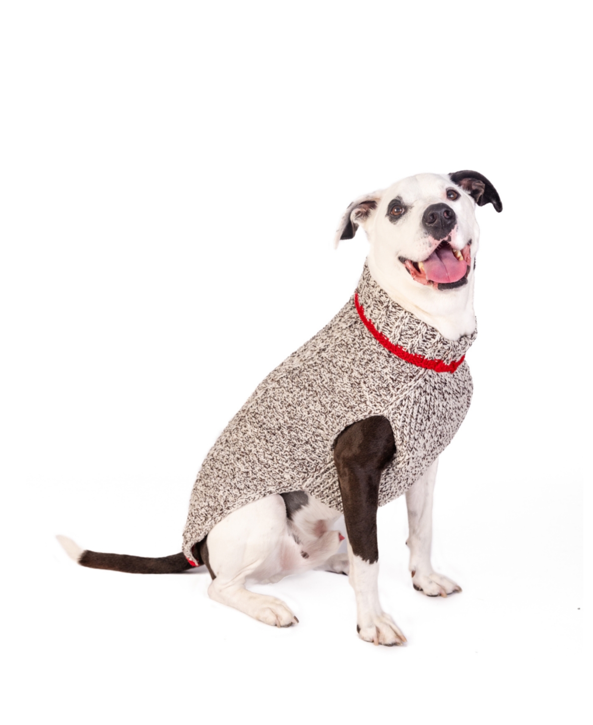 Chilly Dog M Oatmeal Cable W Red Trim -khaki