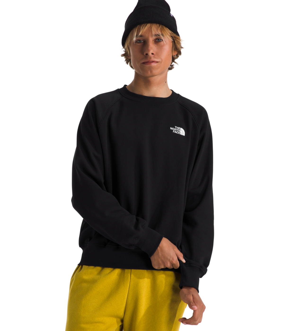 THE NORTH FACE MEN'S EVOLUTION CREWNECK SWEATSHIRT 