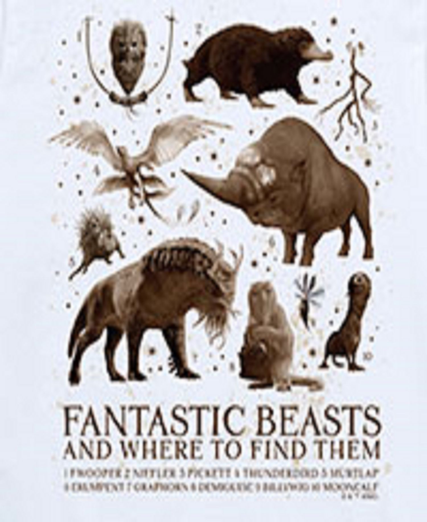Big Boys Harry Potter Fantastic Beasts Graphic Tee