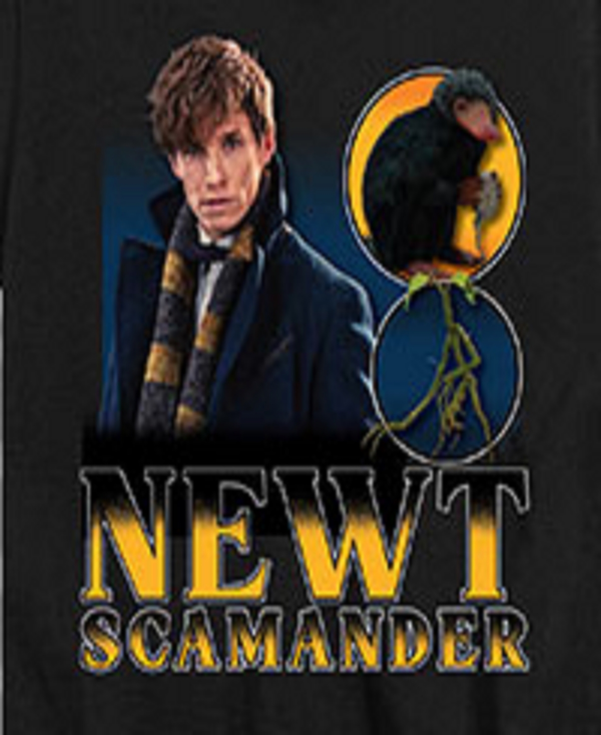 Hybrid Big Boys Harry Potter Newt Scamander Graphic Tee In Black