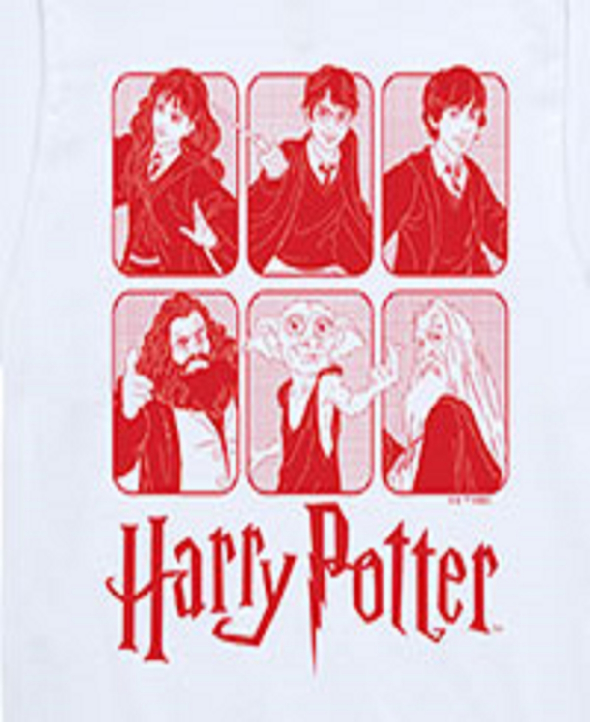 Hybrid Big Boys Harry Potter Graphic Tee In White