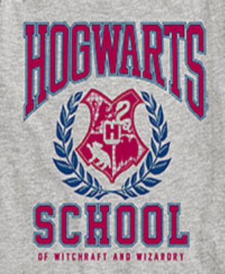 Big Boys Harry Potter Hogwarts School Graphic Tee