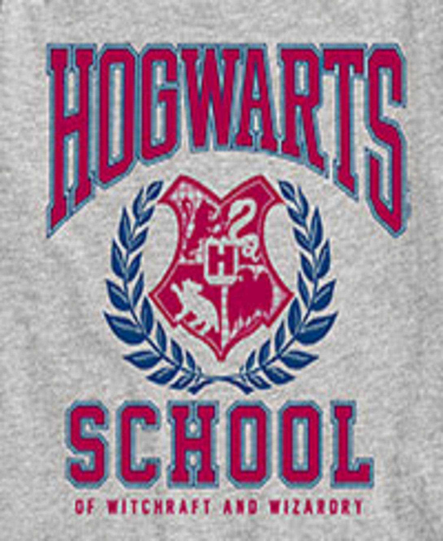 Big Boys Harry Potter Hogwarts School Graphic Tee