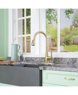 1.8 GPM Pull Down Kitchen Faucet with Deck Plate