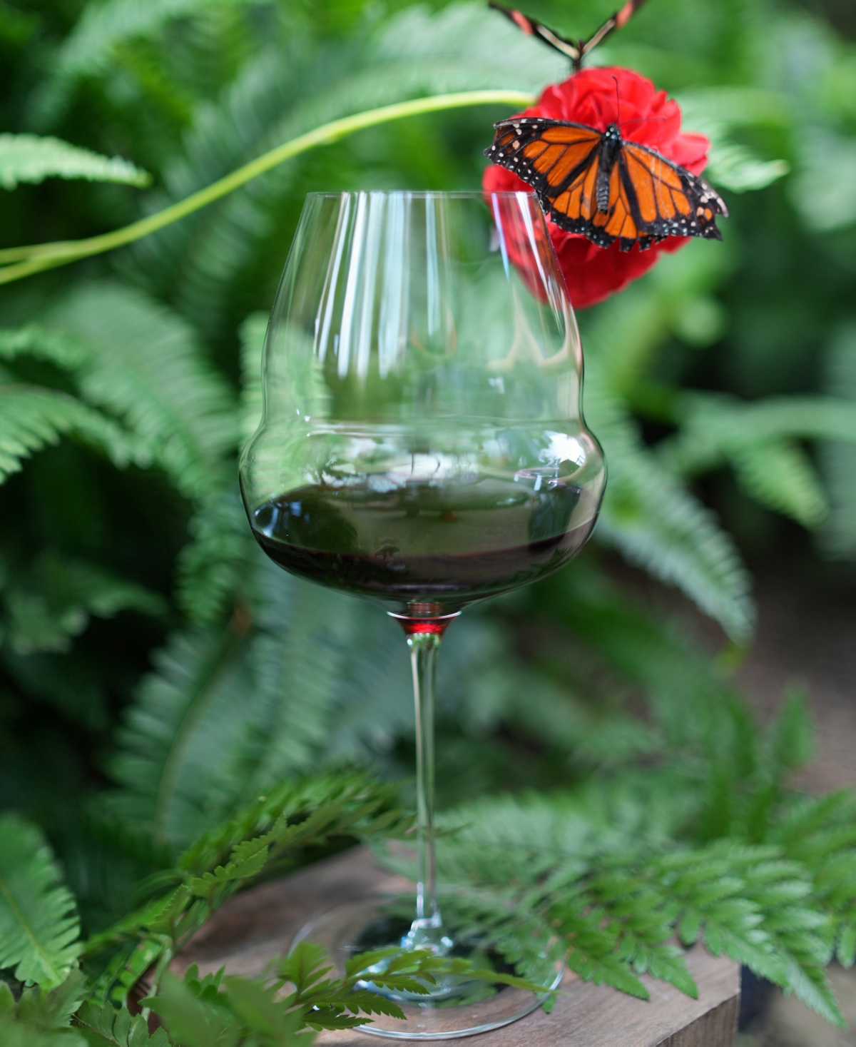 Stolzle Lausitz Cocoon Burgundy Glasses, Set Of 6 In Crystal