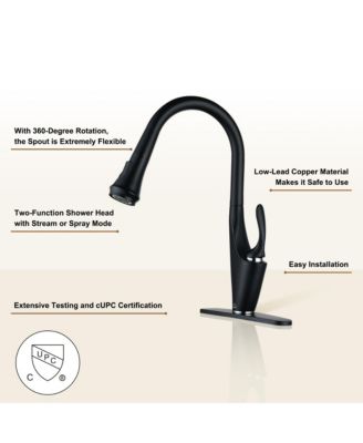 1.8 GPM Pull Down Kitchen Faucet with Deck Plate