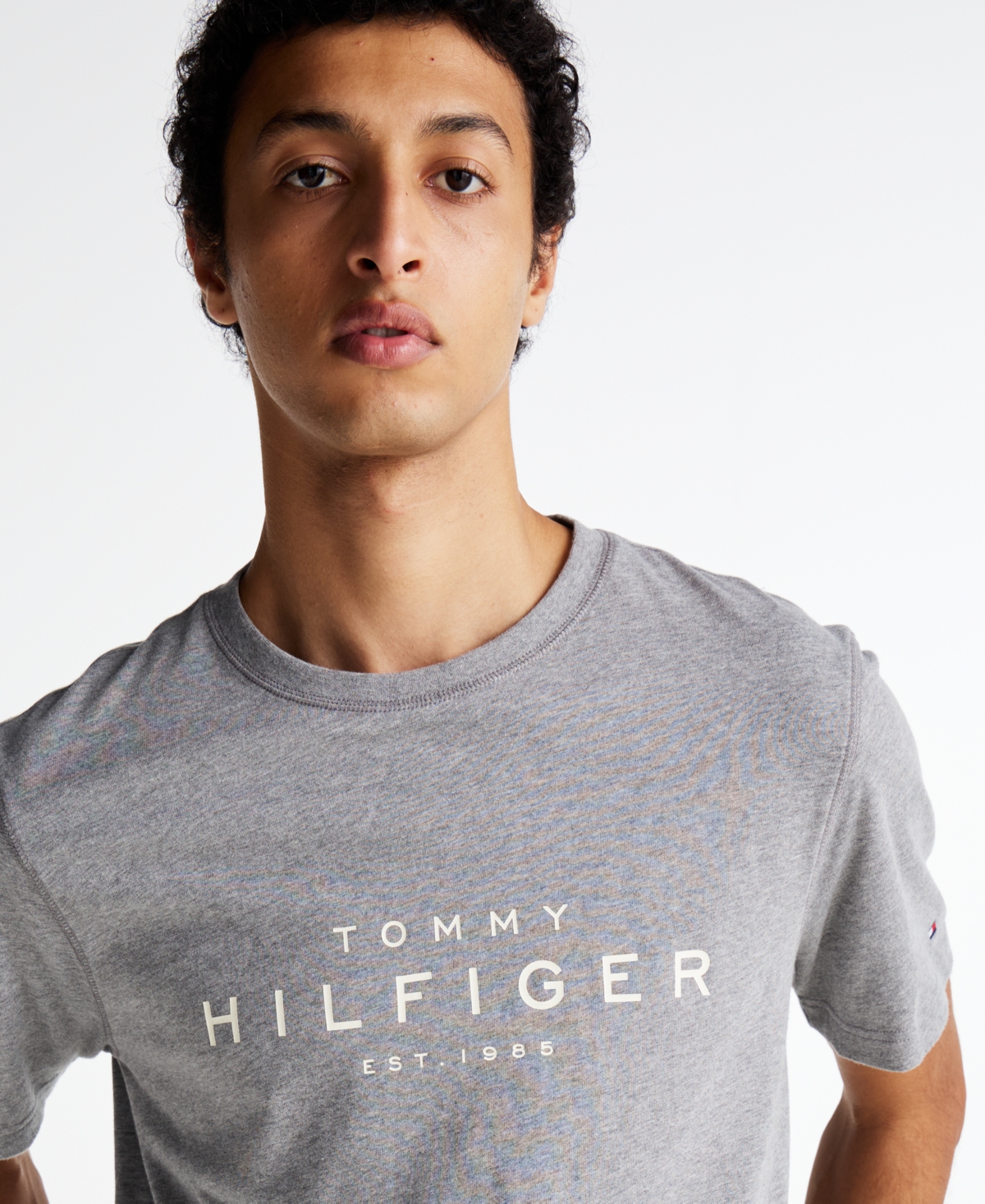Tommy Hilfiger Men's Big Hilfiger Logo T-Shirt
