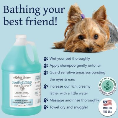 (Botanical) MOISTURIZING DOG Shampoo Chamomile, Rosemary, Aloe Vera