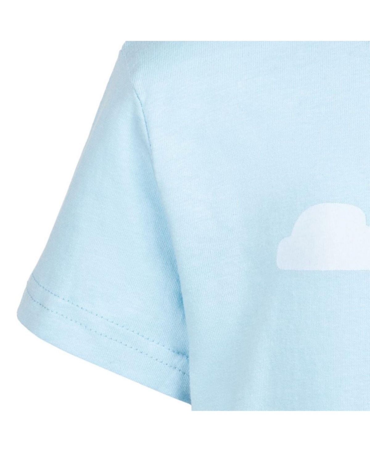 Bluey Toddler Boys 2 Pack T-Shirts -gray