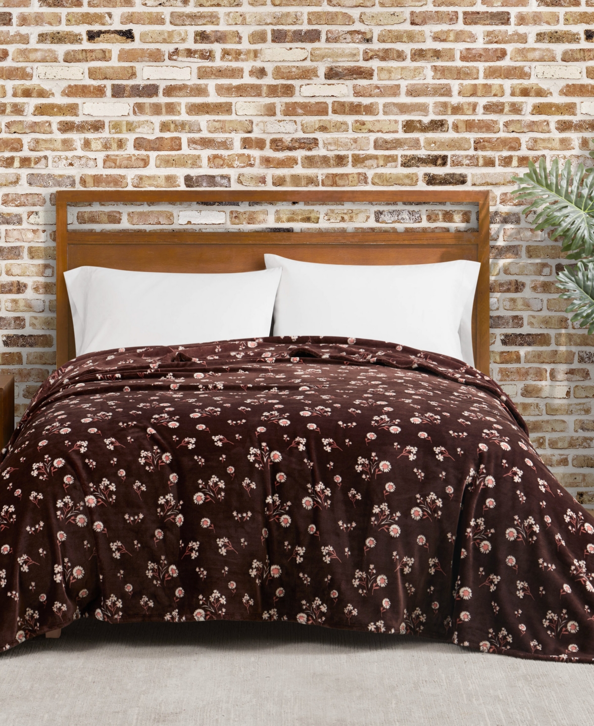 Lucky Brand Daisy Floral Cozy Plush Blanket, Twin/twin Xl In Brown