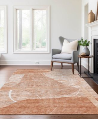 Chantille Machine Washable ACN805 2'6''x3'10'' Area Rug