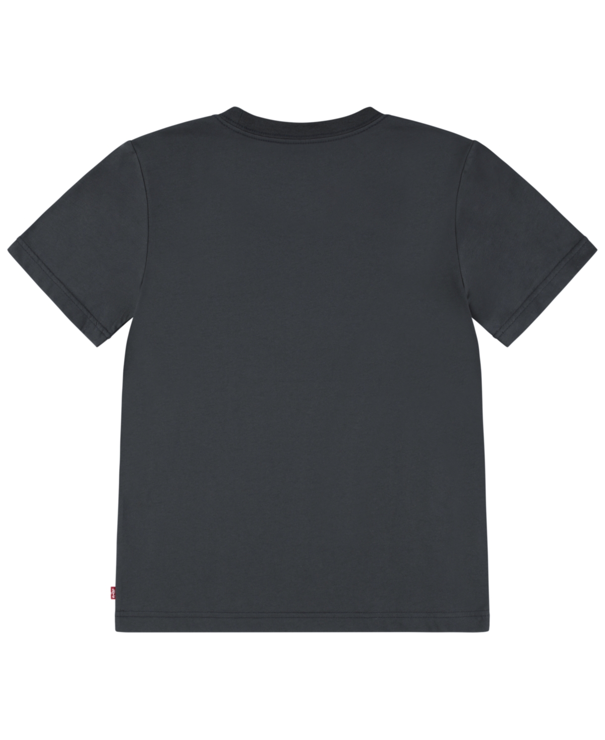 Levi's Big Boys Painted Batwing Tee