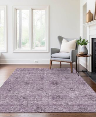 Chantille Machine Washable ACN789 2'6''x3'10'' Area Rug