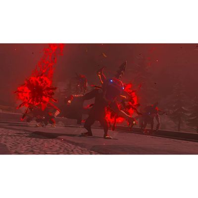 The Legend of Zelda: Tears of the Kingdom - Nintendo Switch