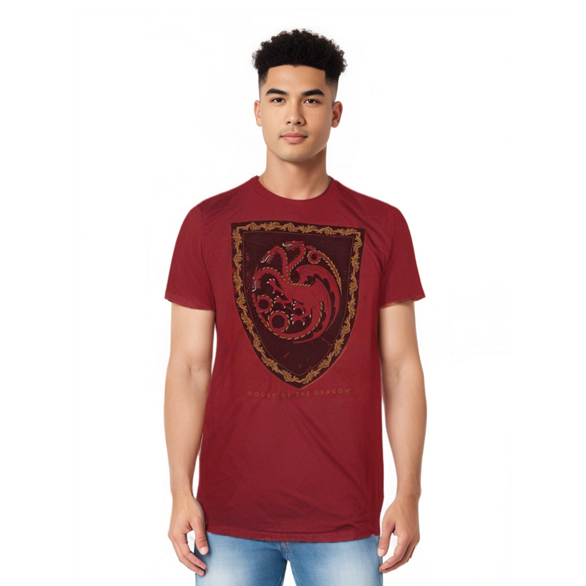Mens Dragon Shield Vintage Short Sleeve Adult Tee / T-Shirt - Red