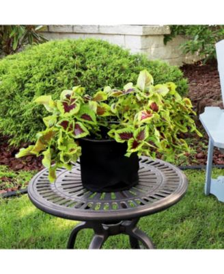 Garden Grow Bag with Handles Non-Woven Polypropylene Fabric, Black