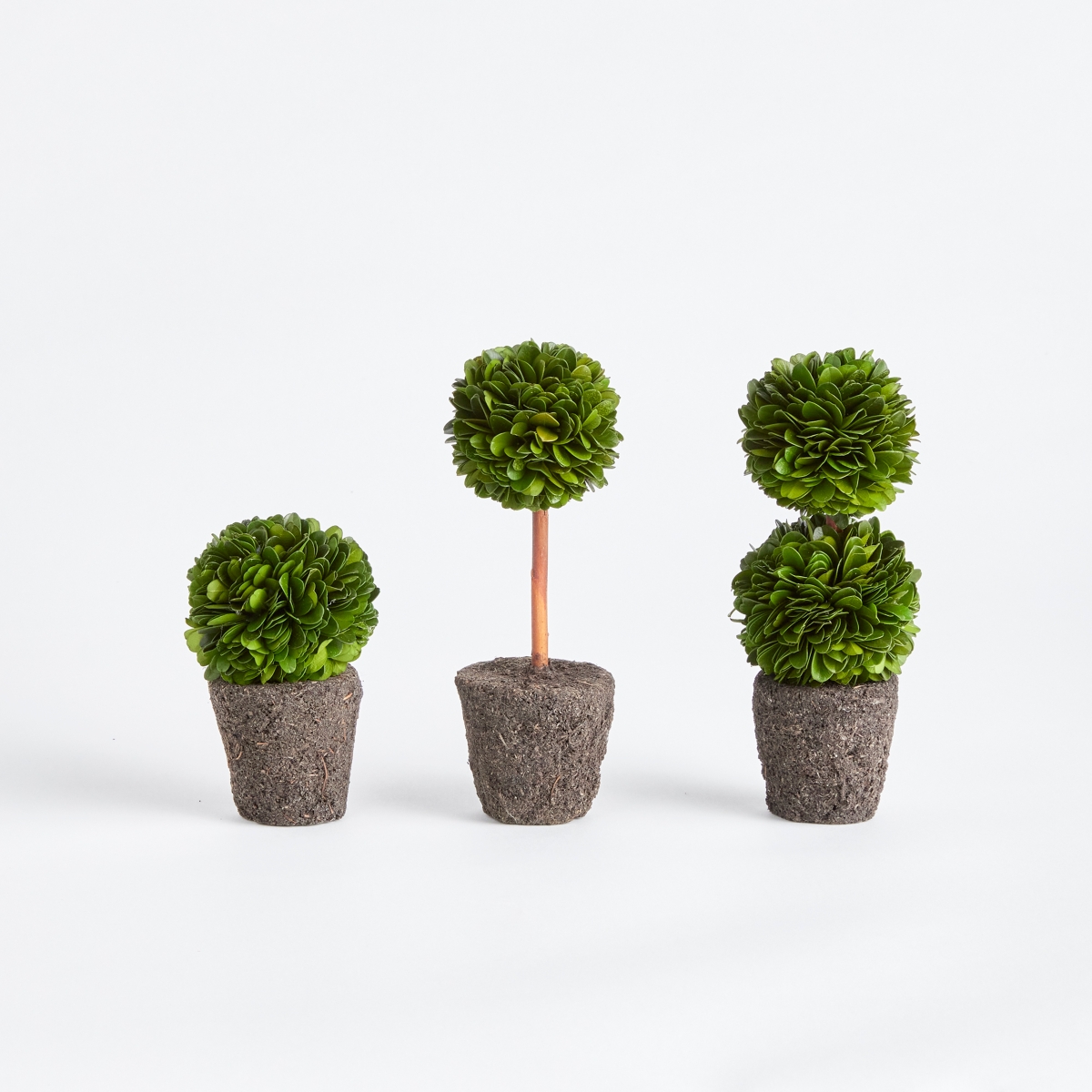 Boxwood Mini Topiary Drop-Ins Set of 3