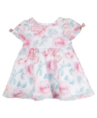 Baby Girl Floral Organza Dress