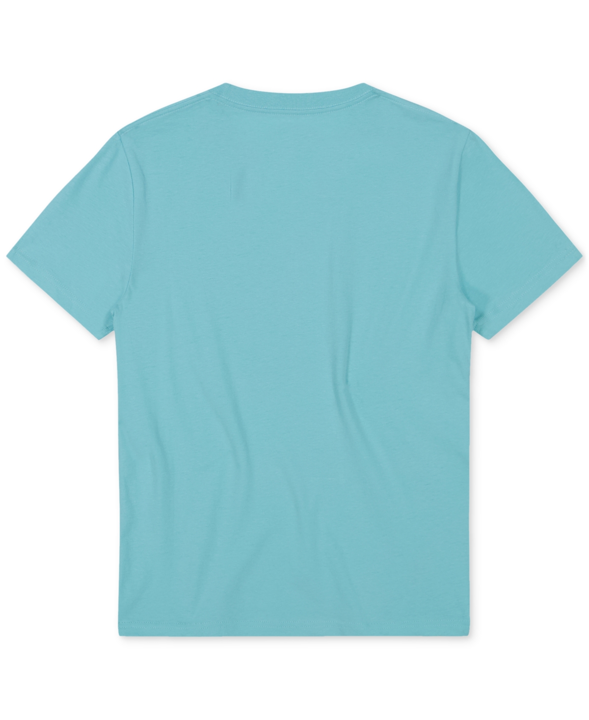 Shop Quiksilver Big Boy Skull Hawk Graphic Cotton T-shirt In Aqua Sky