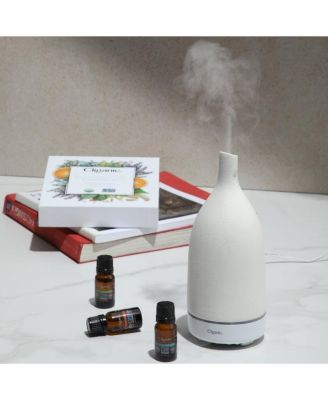 Organic Eucalyptus Essential Oil - 2oz