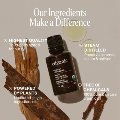 Organic Cedarwood Essential Oil - 1 oz