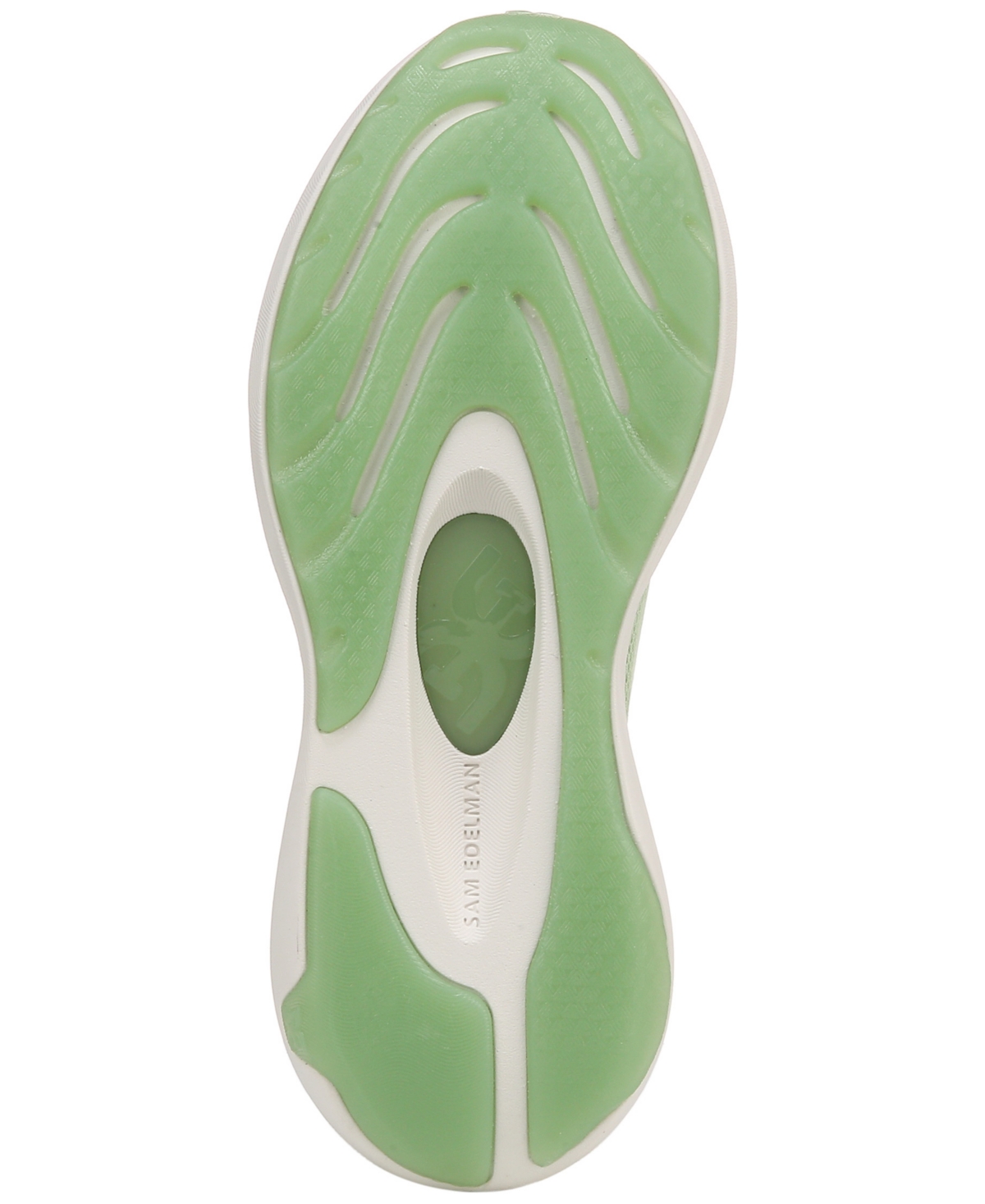 Shop Sam Edelman Women's Sarita Mesh Lace-up Sneakers In Green Multi