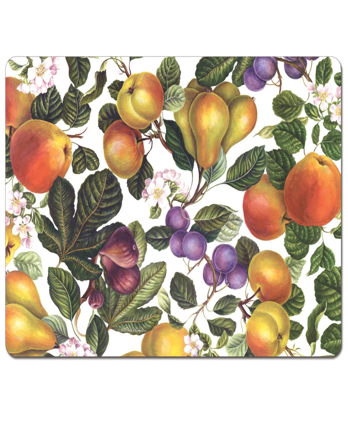 Counterart Fruit Blossoms Hardboard Cork Placemats 15"x 11", Set Of 4 In Multi