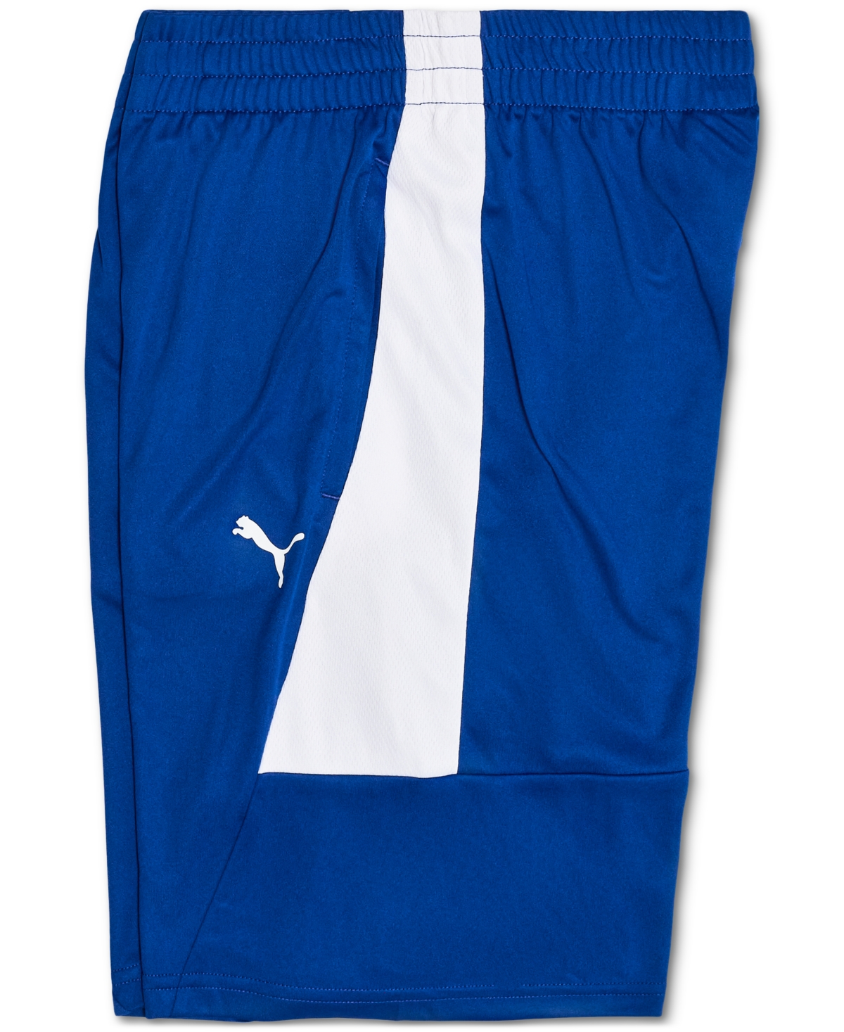 Puma Big Boys 8-1/2 Inch Core Pack Shorts In Vivid Blue