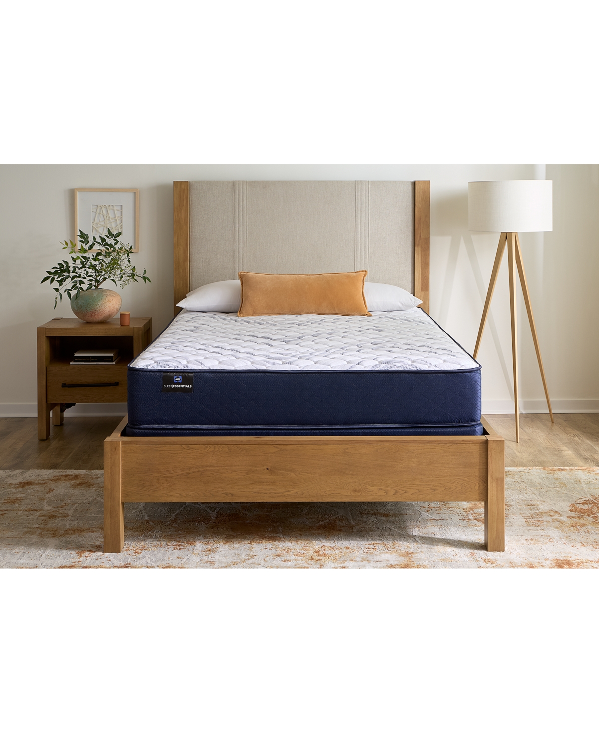Sealy Essentials Escape 11.5" Medium Mattress Set In No Color
