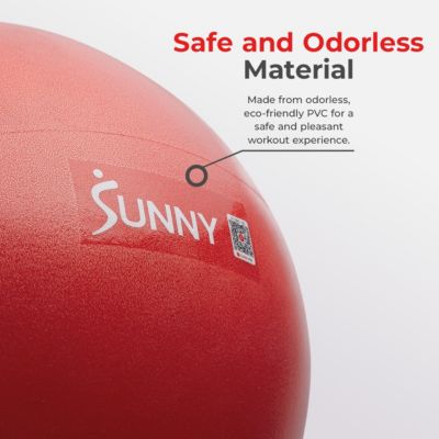 Premium 9" Mini Exercise Ball, Extra Thick Anti-Burst PVC, Non-Slip & Odorless