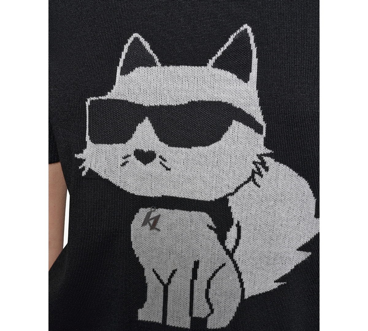Shop Karl Lagerfeld Women's Choupette Sweater In Black
