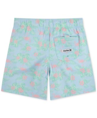 Big Boys Flamingo Printed Pull-On Swim Shorts	