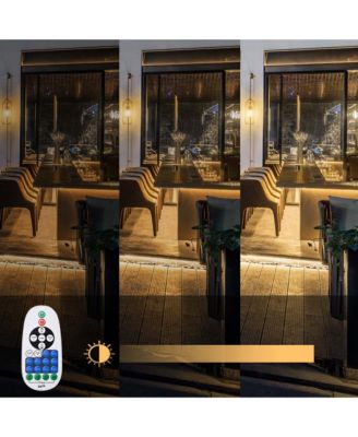 DEL-CON01 2 Pack Controller with 23-Key Remote for Neon Lights Models DEL-D50W, DEL-D100W