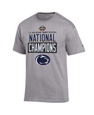 Men's Gray Penn State Nittany Lions 2024 NCAA Women's Volleyball National Champions Locker Room T-Shirt