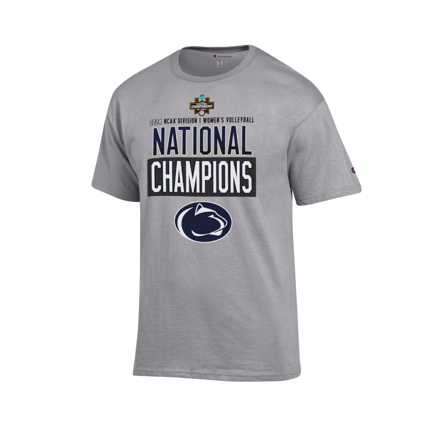 Men's Gray Penn State Nittany Lions 2024 NCAA Women's Volleyball National Champions Locker Room T-Shirt