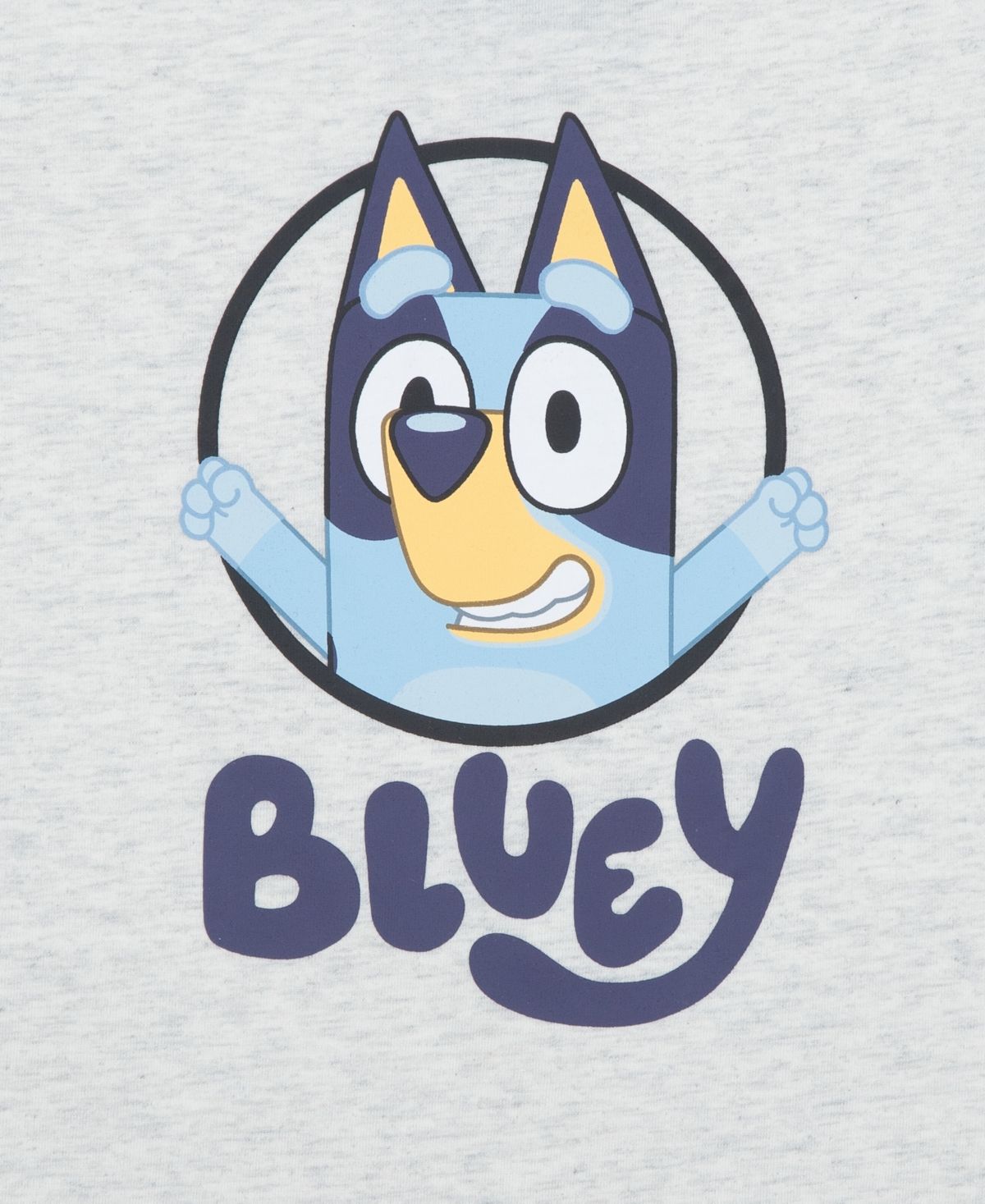 Bluey Toddler Boys 2-piece Graphic T-shirt And Shorts Set In Oatmeal Heather