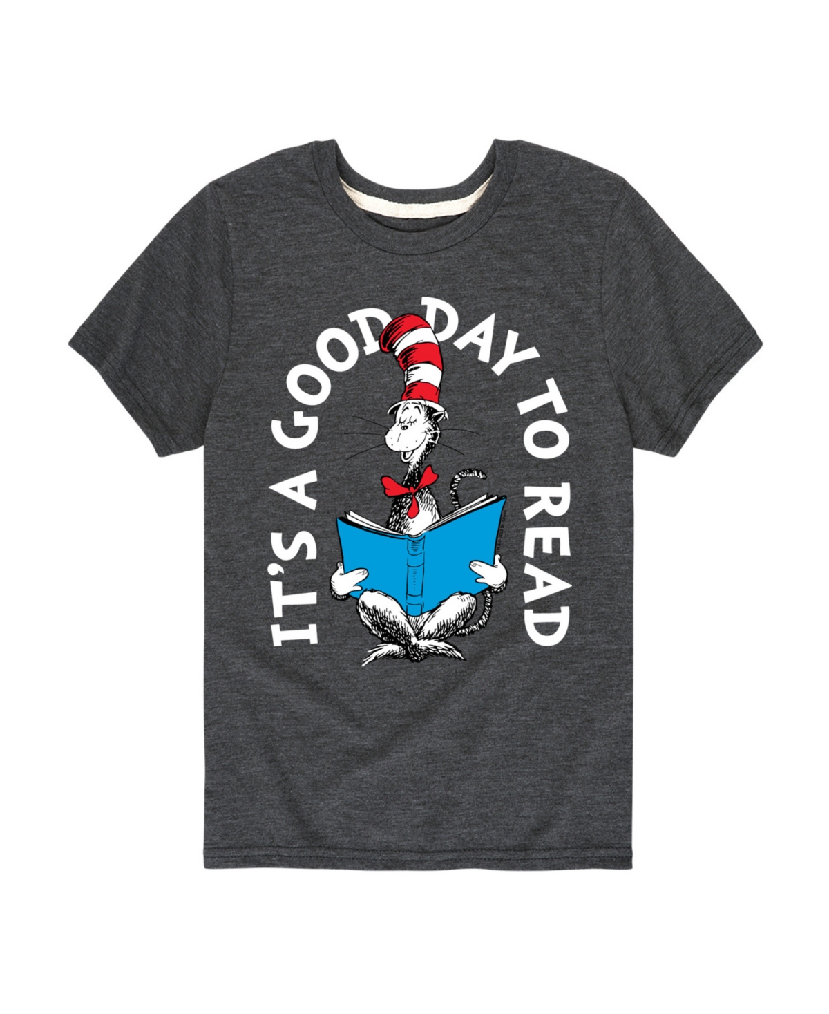 Hybrid Big Boys Dr. Seuss It's A Good Day To Read Graphic T-shirt In Gray