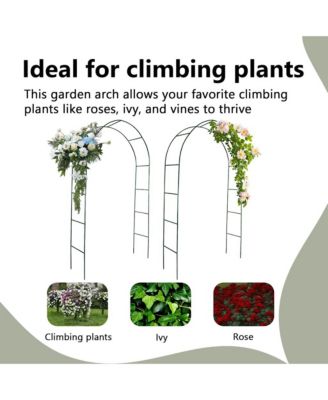 Garden Arch 2 pcs Climbing Plants