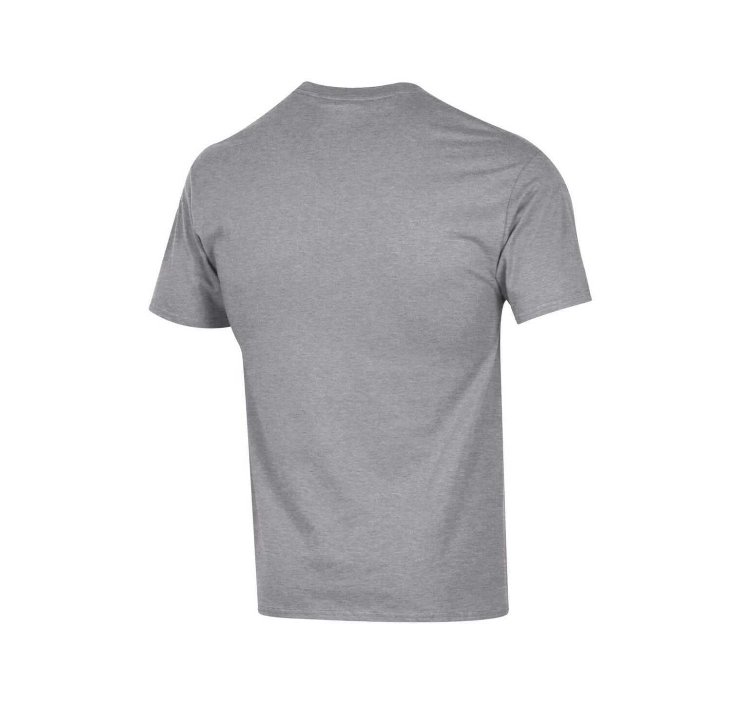 Men's Gray NDSU Bison 2024 NCAA FCS Football National Champions Locker Room T-Shirt